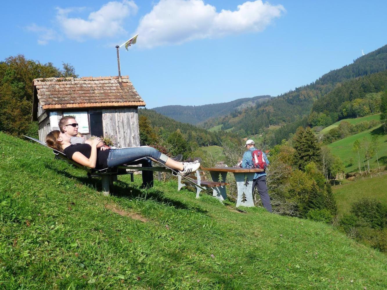 Ferienwohnung Am Kapellenberg - Am Rande Des Nationalparks Schwarzwald Bad Peterstal-Griesbach Zewnętrze zdjęcie