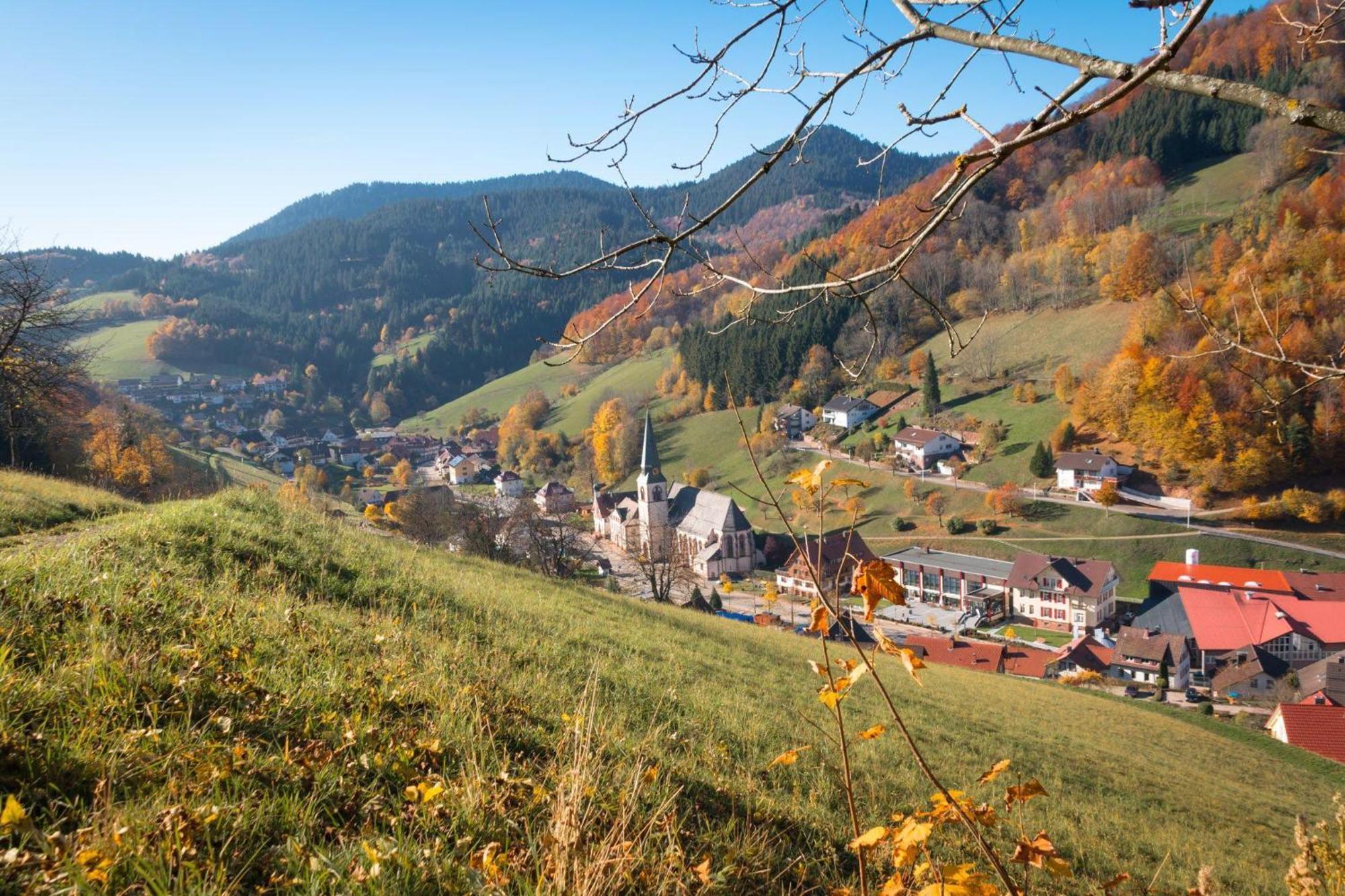 Ferienwohnung Am Kapellenberg - Am Rande Des Nationalparks Schwarzwald Bad Peterstal-Griesbach Zewnętrze zdjęcie