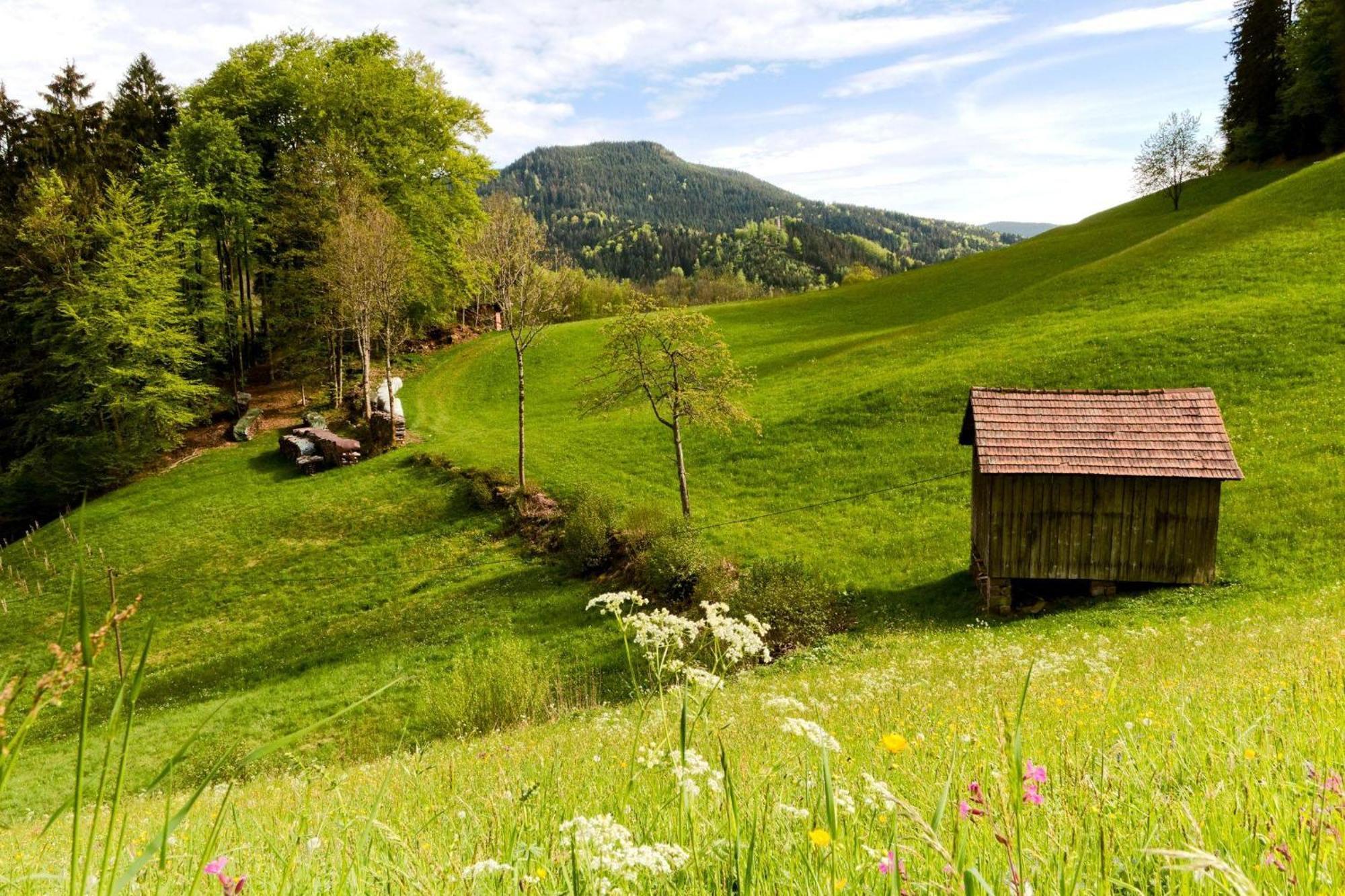 Ferienwohnung Am Kapellenberg - Am Rande Des Nationalparks Schwarzwald Bad Peterstal-Griesbach Zewnętrze zdjęcie